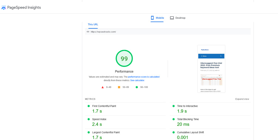 wp-rocket-pagespeed insights score